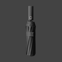 Obsidian